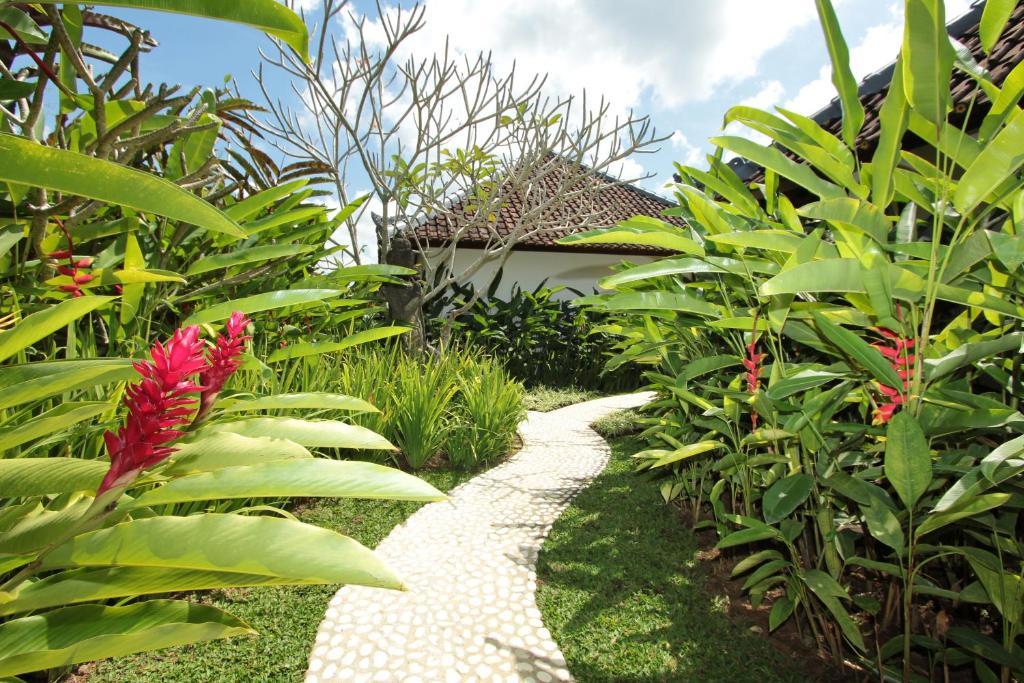 Sunset Hill Panzió Ubud Szoba fotó