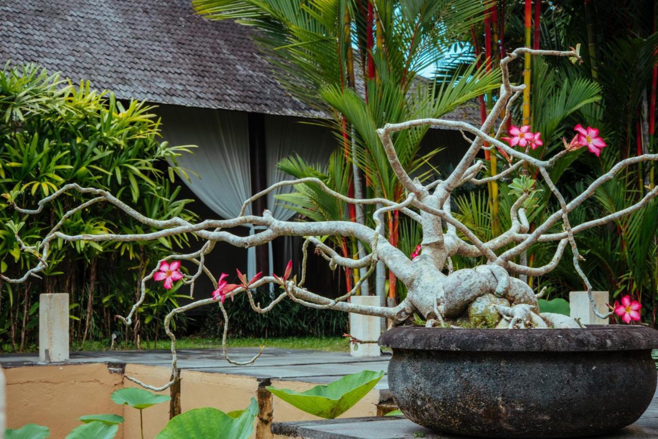 Sunset Hill Panzió Ubud Kültér fotó