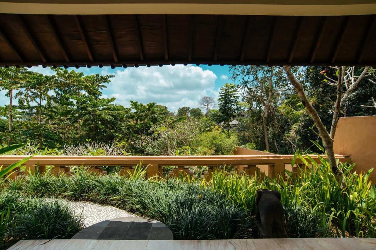 Sunset Hill Panzió Ubud Kültér fotó